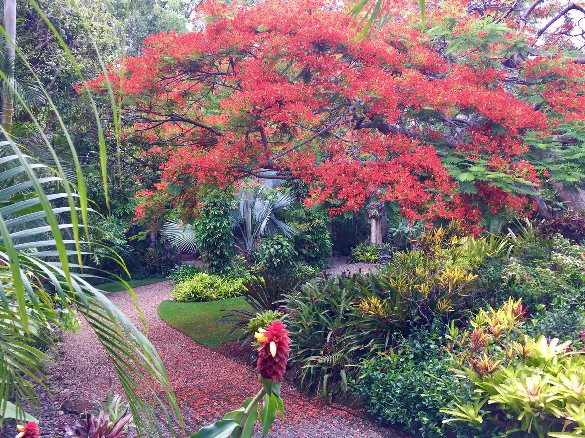 Eden Rest Bed & Breakfast Cooroy Luaran gambar